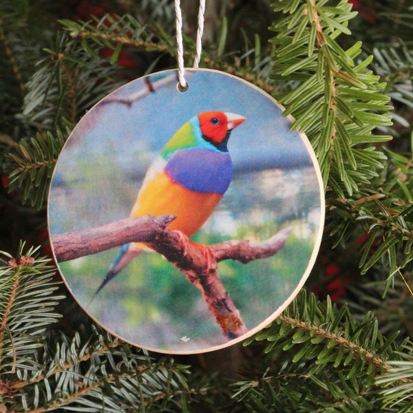 Gouldian Finch Photo Ornament