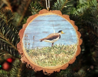 Masked Lapwing Rustic Photo Ornament