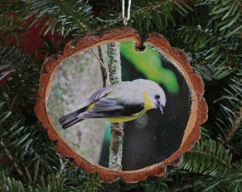 Eastern Yellow Robin Rustic Photo Ornament