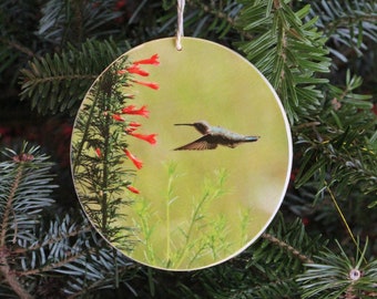 Hummingbird Photo Ornament