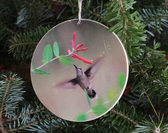 Hummingbird Photo Ornament