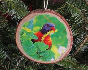 Rainbow Lorikeet Rustic Photo Ornament