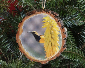 Olive-backed Sunbird Rustic Photo Ornament