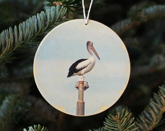 Australian Pelican on Lamppost Photo Ornament