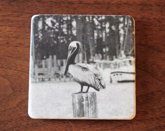 Brown Pelican Black & White Photo Coaster