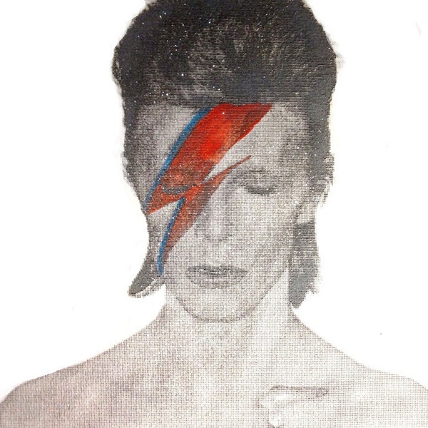 Bowie Diamond Dust,Aladdin Sane,star print,Glam Rock,Pop Art,music,Surreal,Classic,icon,70's,Fashion,Stylish,New,Uk