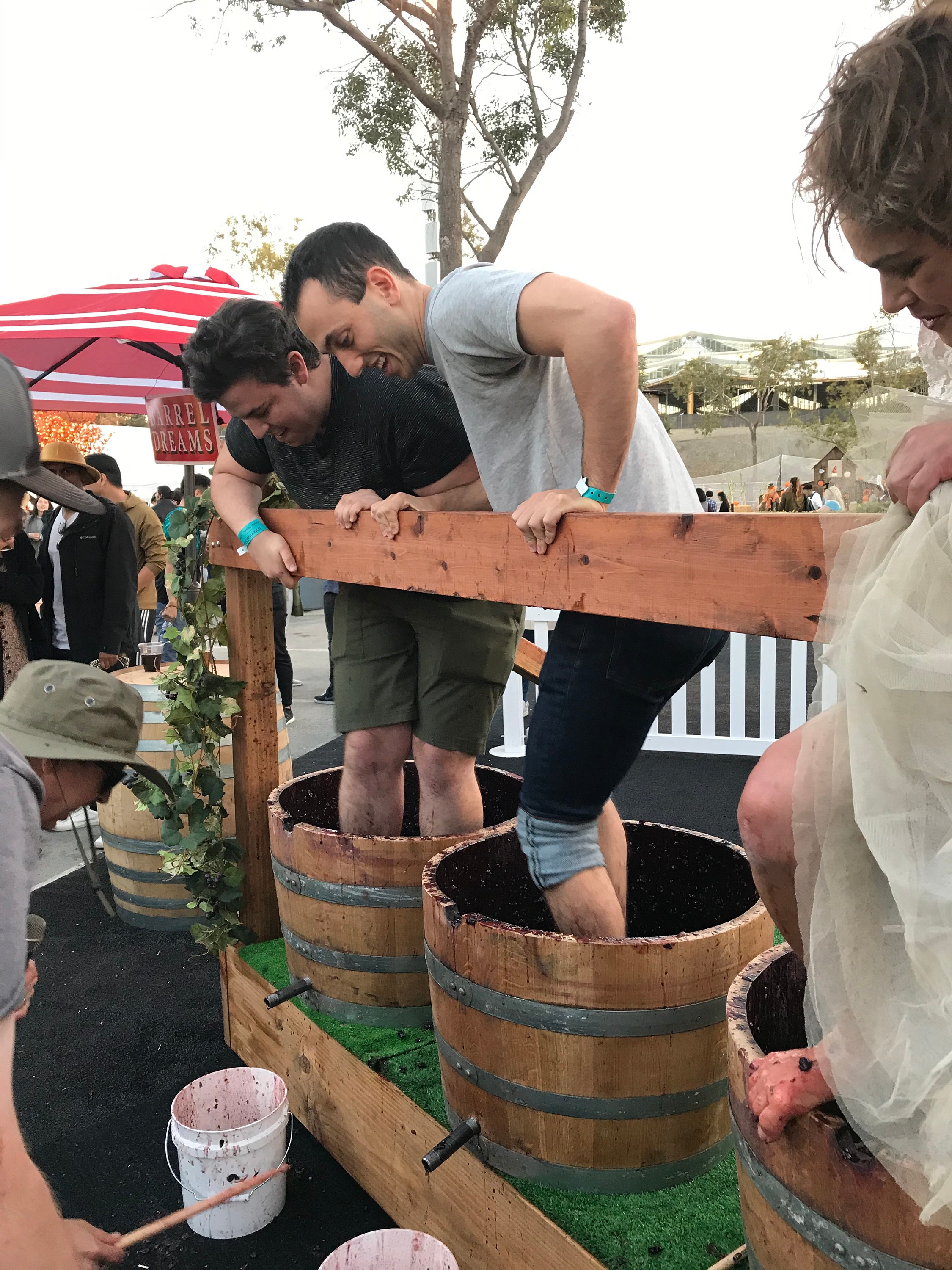 Grape Stomp Event Etsy