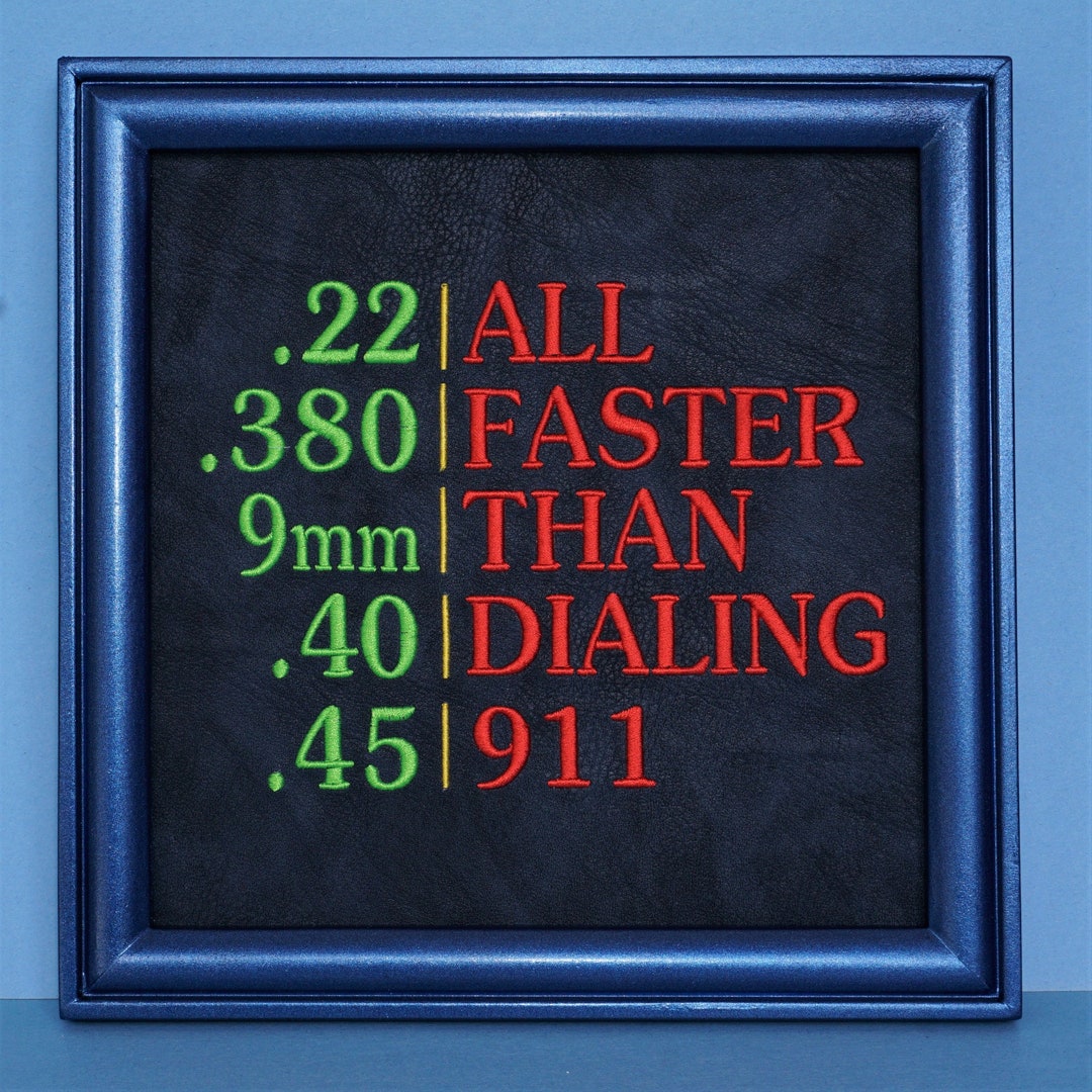 Gun Saying / Bullet Humor / 2nd Amendment / Framed Embroidery Art ...