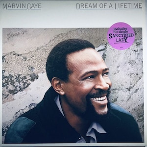 LP Marvin Gaye &quot;Dream Of A Lifetime&quot; R&B Vinyl Record