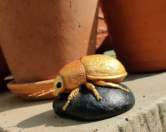 Big Golden Beetle