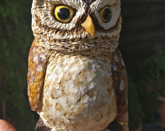 Twoo the little Owl