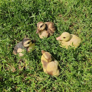 Nesting duckling sculpture