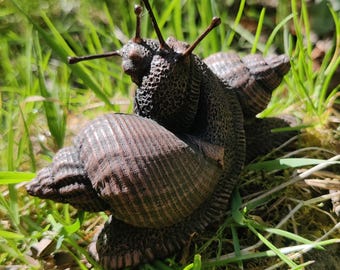 Snail Ballet Sculpture - Etsy