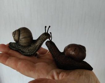 Middle sized snail