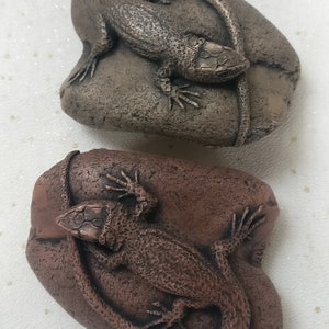 Concrete Lizard -  Australia