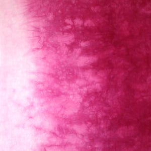 May include: A gradient background with a white to pink color transition. The pink color is a deep, rich shade with a mottled, textured appearance.
