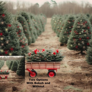 Sfondo digitale con albero di Natale, sfondo con carrello agricolo, sfondo con carro rosso, corsia di Natale digitale, sfondo con foto di famiglia Photoshop