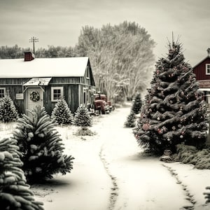 Natal cenário digital árvore de natal vintage fazenda fundo digital cartão de família pano de fundo neve inverno foto sobreposição photoshop composto