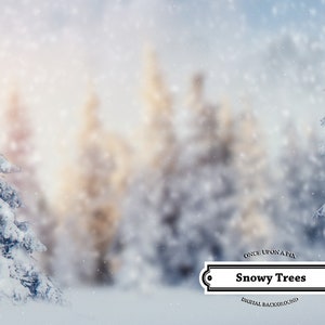Familiefoto digitale achtergrond, besneeuwde bomen digitale achtergrond / kerstachtergrond! Geweldig voor vakantiekaarten, familie, huisdieren, winter, vakantie