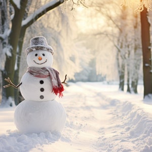 Può includere: Un pupazzo di neve con un cappello grigio e una sciarpa rosso e bianca si trova in un bosco innevato. Il pupazzo di neve ha un naso di carota e occhi neri. Lo sfondo è un bosco innevato con alberi coperti di neve.