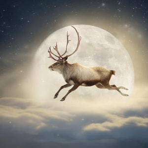 In sella a uno sfondo digitale di renne, sfondo digitale di Natale, sfondo digitale composito Renna di Babbo Natale Photoshop Moon Christmas Eve