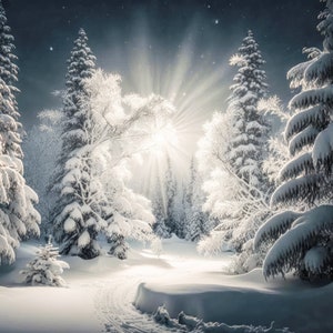 Toile de fond numérique de Noël, fond numérique d'hiver, fond composite de carte de vacances pour Photoshop, toile de fond d'arbres enneigés, soleil de montagne