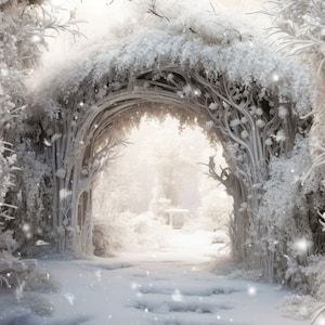 Telón de fondo de Navidad Todo el fondo digital blanco Arco de flores congeladas Ventana Bokeh Puerta Tarjeta de fotos familiar Photoshop compuesto Telón de fondo digital