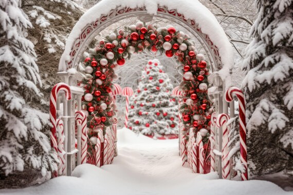 3x2.5m Toile De Fond Hivernale Joyeux Noël Avec Cannes