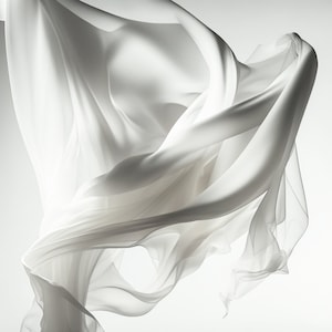 Può includere: Un tessuto bianco e trasparente che fluttua nel vento, creando pieghe e curve morbide e delicate. Il tessuto è leggero e arioso, con una qualità traslucida.