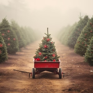 Toile de fond numérique petit arbre de Noël ferme fond wagon rouge toile de fond Noël numérique Lane Photoshop famille carte photo fond rustique