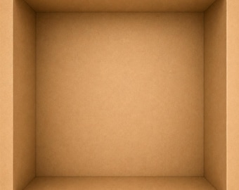 Digital PNG Single Cardboard Box for 'in the box' photography digital background, Boxes Backdrop Template Kindergarten Senior Photo
