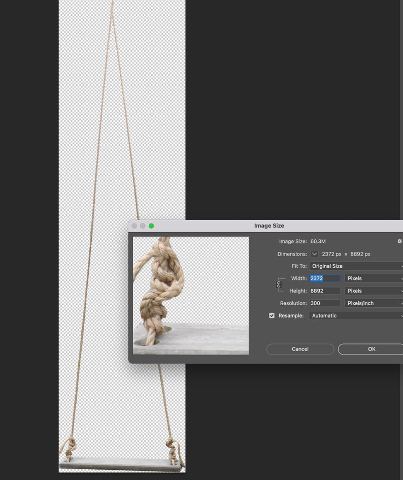 Small Digital Rope Swing PNG Photoshop Overlay Digital Wooden Board ...
