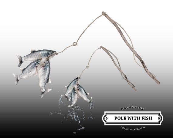 Fishing Pole Overlay Digital .PNG File With Attached Fish Cut-out