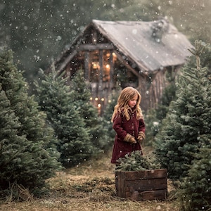 Peut inclure: Une jeune personne vêtue d'un manteau bordeaux et de gants se tient près d'une caisse en bois remplie de branches de conifères. La scène se déroule dans une forêt enneigée avec une cabane rustique en arrière-plan, évoquant le thème des vacances d'hiver.
