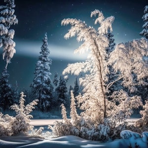 Verschneite Bäume Digitaler Hintergrund, Winter Digitaler Hintergrund, Weihnachtskarte Zusammengesetzter Hintergrund für Photoshop Baum Wald zurück glow Weihnachten