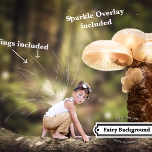 Fairy Digital Background, Mushroom Digital Backdrop, Fantasy Background, Composite, Fairies Backdrop, Bonus Overlays, Cosplay Background