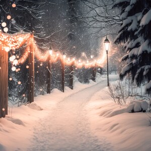 Décor numérique d'hiver de chemin pictural, fond numérique d'hiver rougeoyant, fond composé de carte de vacances pour Photoshop, arbres neigeux