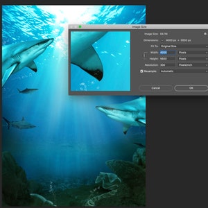Shark Superhero Digital Background FREE Bubbles Overlay Water Backdrop ...