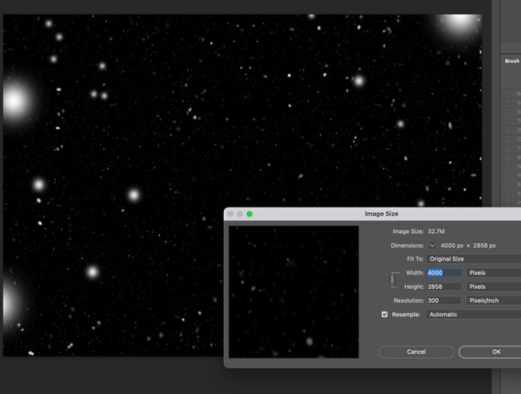 ゆきのオーダーページ Jeff Oechslein - NEWS9 added a - Jeff Oechslein - NEWS9