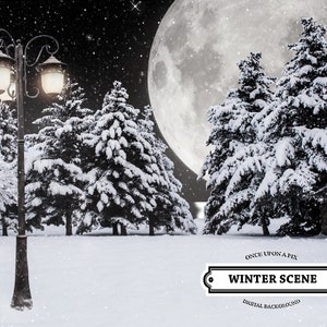 Lantaarnpaal Woods digitale achtergrond, of familie kerstkaart achtergrond, ideaal voor vakantie composieten, winter, sneeuw, bomen, lantaarnpaal,