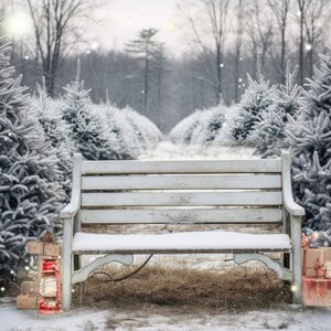Sfondo di fotografia di fattoria di alberi di neve di Natale Sfondo di modelli di lotto di alberi digitali Biglietto di auguri Ritratto Studio fotografico Servizio fotografico all'aperto