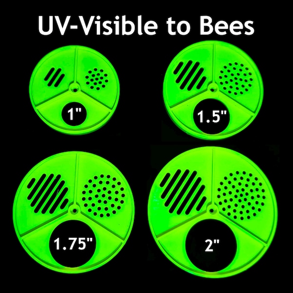 2er Set UV Schwarmfallen Eingangsscheiben | 1 ", 1,5 ", 1.75 ", 2" Öffnungen | Langlebiger PETG Kunststoff | 3 Positionen | Queen Ausschluss, Vent, Full Open