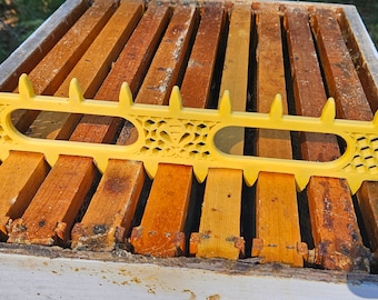 10/9 Frame Bee Hive Spacer Tool | Langstroth Beekeeping Equipment | Frame Spacing | 3D Printed PETG