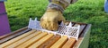Bee Hive 7/8 Frame Spacer for Beekeeping **For 8 Frame Boxes**