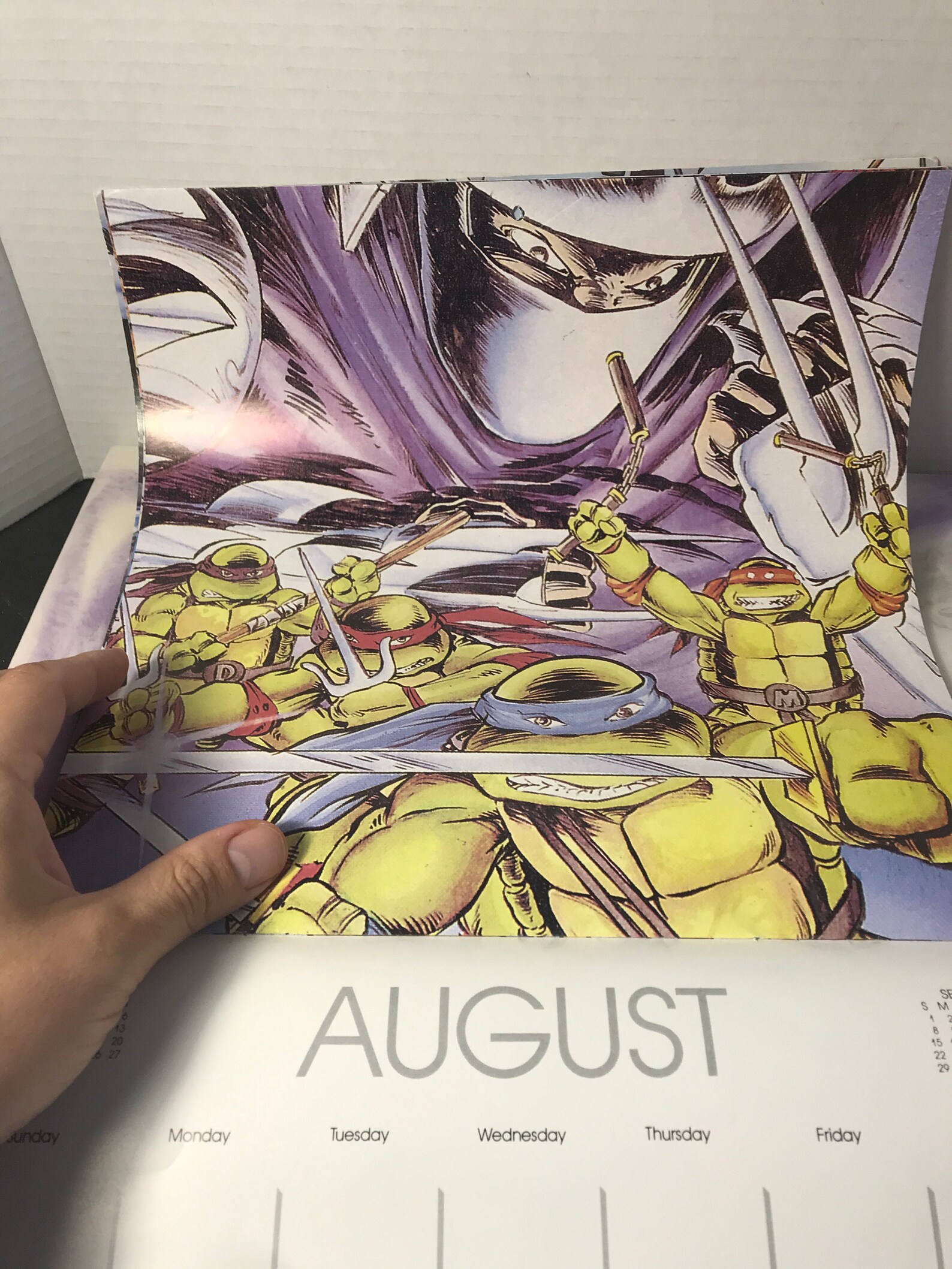 Vintage TMNT Eastman and Laird 1991 Calendar Teenage Mutant Etsy UK