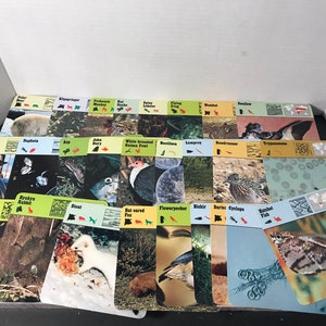Vintage 1976 Editions Recontre Animals Flash Card Information Card Lot of 25 - Random Card Lot of Animal Photo Cards!