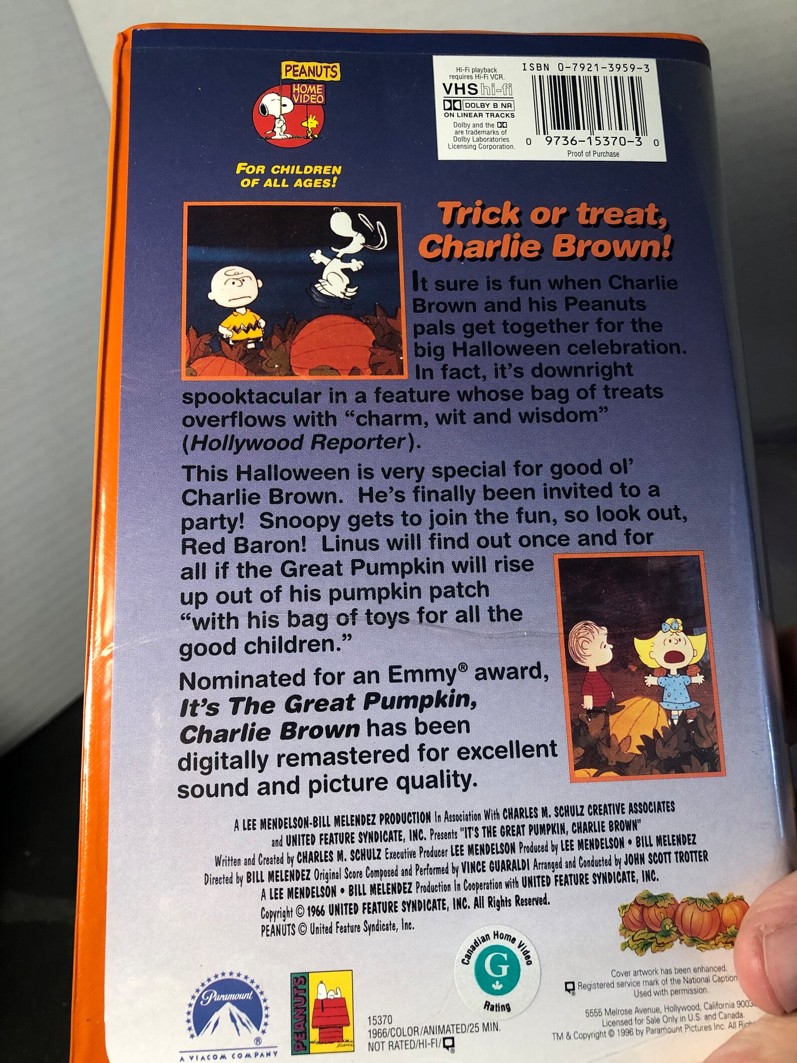 It's The Great Pumpkin Charlie Brown Vhs Vintage Peanuts It's the Great Pumpkin Charlie Brown VHS - Etsy