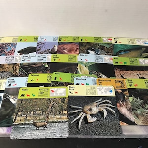 Vintage 1976 Editions Recontre Animals Flash Card Information Card Lot of 20 - Random Card Lot of Animal Photo Cards!