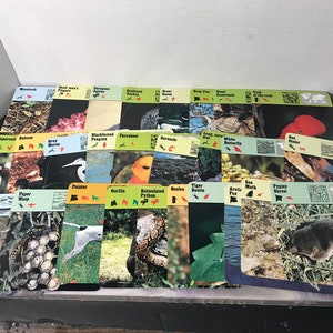 Vintage 1976 Editions Recontre Animals Flash Card Information Card Lot of 25 - Random Card Lot of Animal Photo Cards!