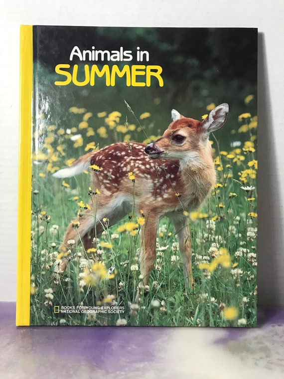 Vintage National Geographic Kids - Animals in Summer -rare